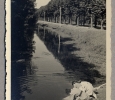 1185-anno-1951-04-12