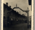 1190-anno-1949-04-12